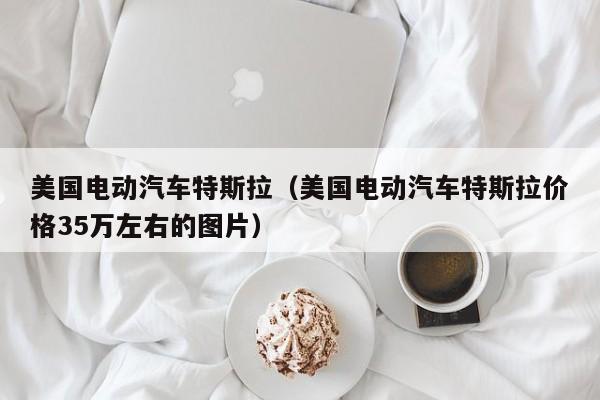 美国电动汽车特斯拉（美国电动汽车特斯拉价格35万左右的图片）