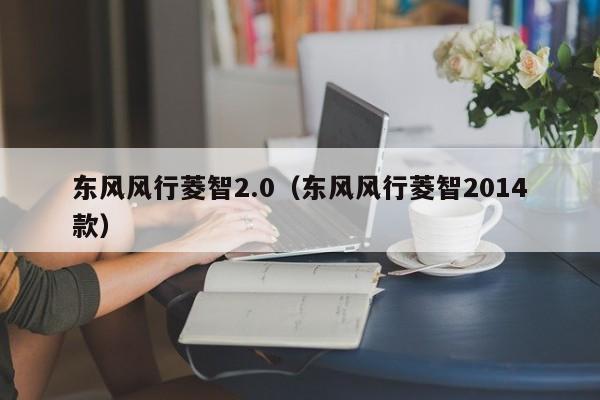东风风行菱智2.0（东风风行菱智2014款）