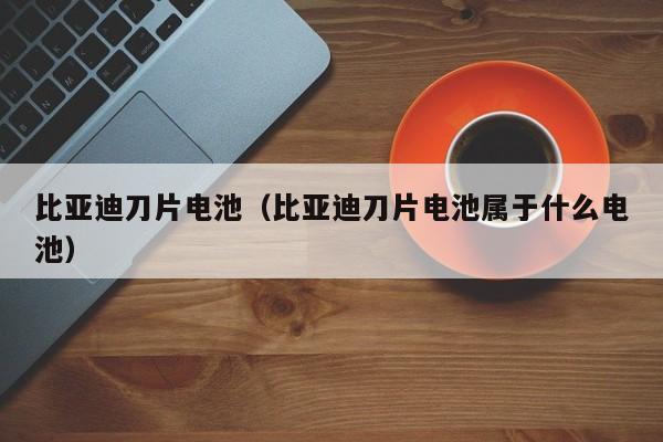 比亚迪刀片电池（比亚迪刀片电池属于什么电池）