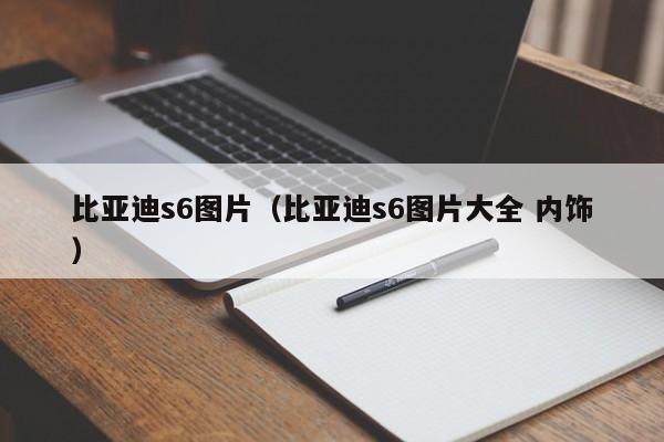 比亚迪s6图片（比亚迪s6图片大全 内饰）