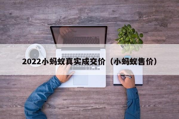 2022小蚂蚁真实成交价（小蚂蚁售价）