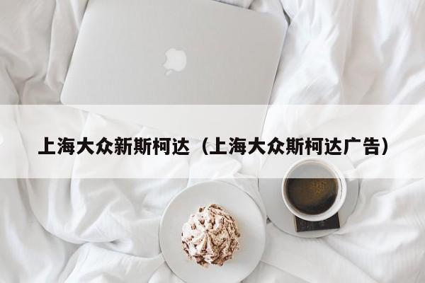 上海大众新斯柯达（上海大众斯柯达广告）
