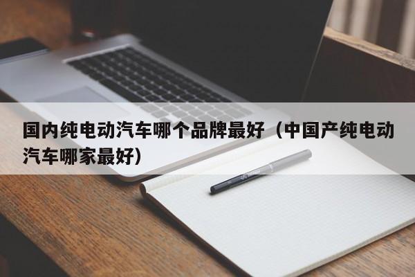 国内纯电动汽车哪个品牌最好（中国产纯电动汽车哪家最好）