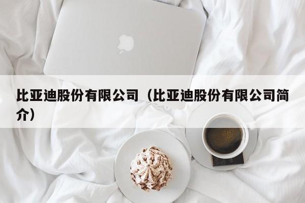 比亚迪股份有限公司（比亚迪股份有限公司简介）