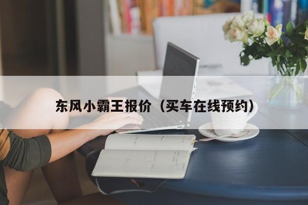 东风小霸王报价（买车在线预约）