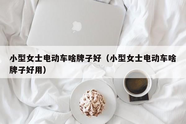 小型女士电动车啥牌子好（小型女士电动车啥牌子好用）