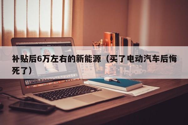 补贴后6万左右的新能源（买了电动汽车后悔死了）