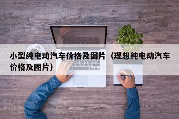 小型纯电动汽车价格及图片（理想纯电动汽车价格及图片）