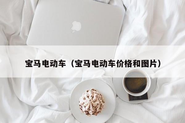 宝马电动车（宝马电动车价格和图片）