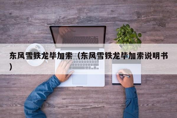 东风雪铁龙毕加索（东风雪铁龙毕加索说明书）