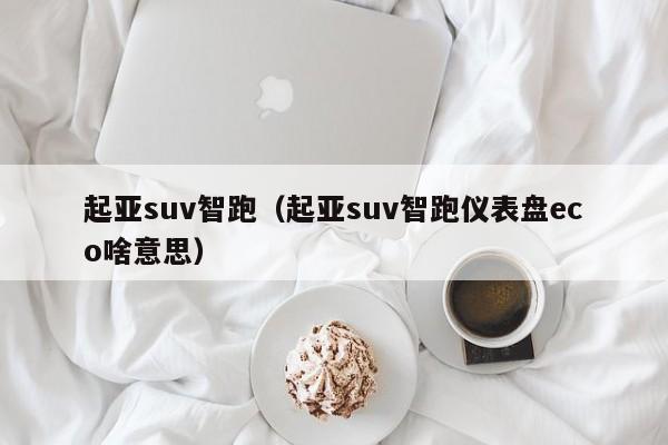 起亚suv智跑（起亚suv智跑仪表盘eco啥意思）