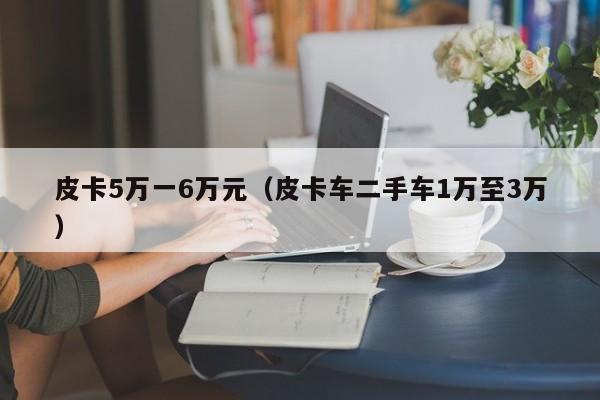 皮卡5万一6万元（皮卡车二手车1万至3万）