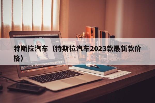 特斯拉汽车（特斯拉汽车2023款最新款价格）