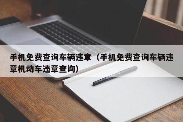手机免费查询车辆违章（手机免费查询车辆违章机动车违章查询）
