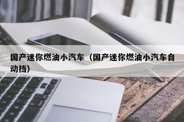国产迷你燃油小汽车（国产迷你燃油小汽车自动挡）