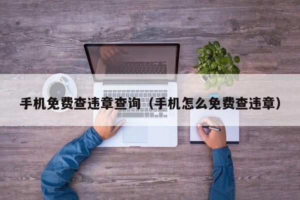 手机免费查违章查询（手机怎么免费查违章）