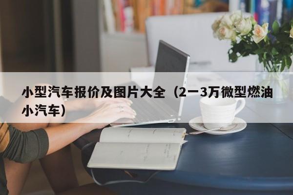 小型汽车报价及图片大全（2一3万微型燃油小汽车）