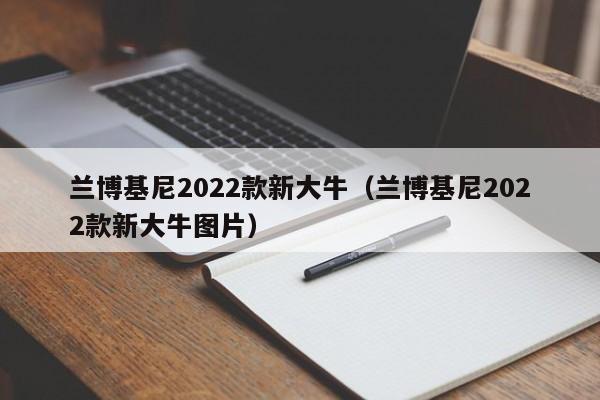 兰博基尼2022款新大牛（兰博基尼2022款新大牛图片）