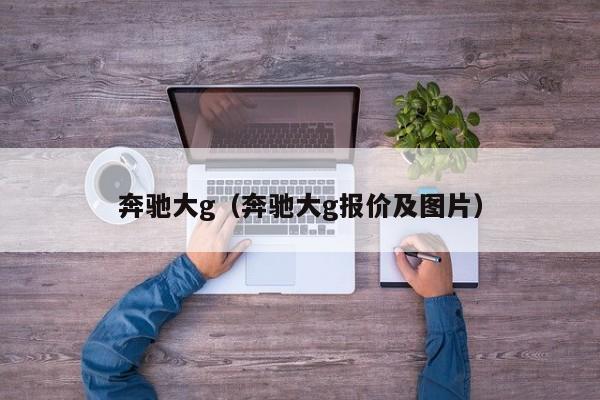 奔驰大g（奔驰大g报价及图片）