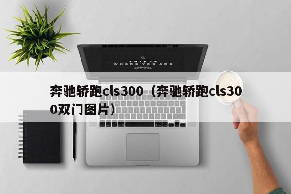 奔驰轿跑cls300（奔驰轿跑cls300双门图片）