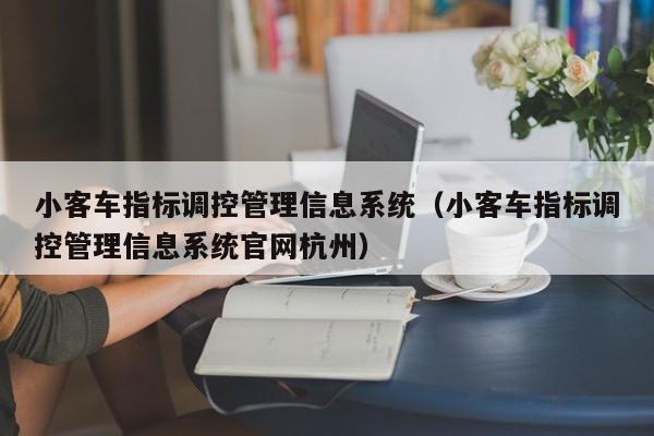 小客车指标调控管理信息系统（小客车指标调控管理信息系统官网杭州）