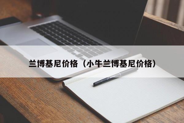 兰博基尼价格（小牛兰博基尼价格）