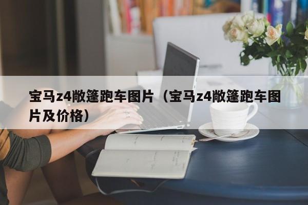 宝马z4敞篷跑车图片（宝马z4敞篷跑车图片及价格）