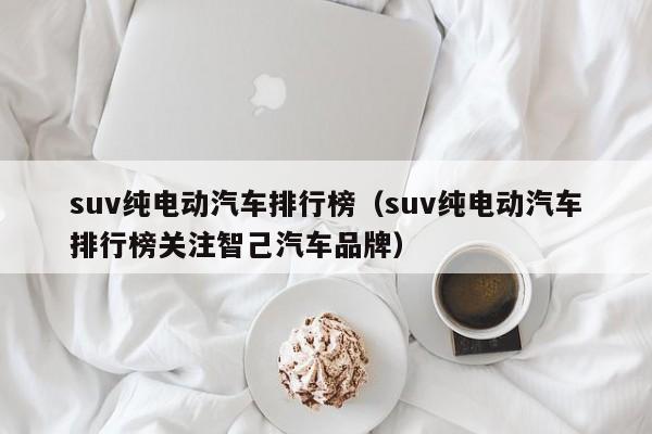 suv纯电动汽车排行榜（suv纯电动汽车排行榜关注智己汽车品牌）