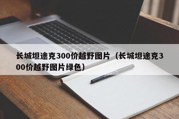 长城坦途克300价越野图片（长城坦途克300价越野图片绿色）