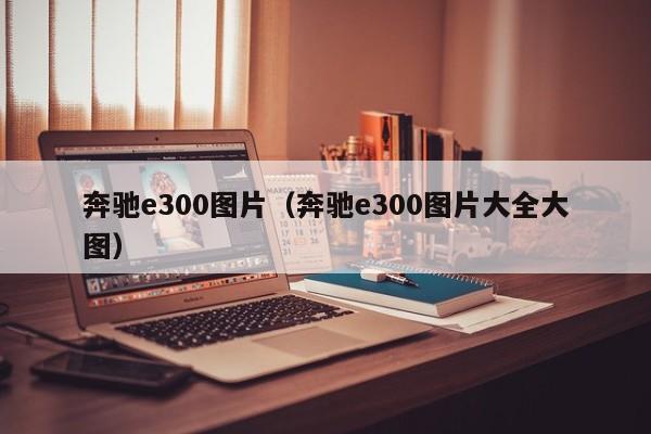 奔驰e300图片（奔驰e300图片大全大图）