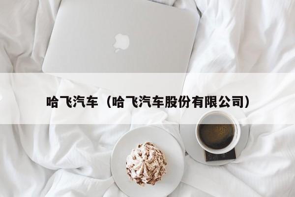 哈飞汽车（哈飞汽车股份有限公司）