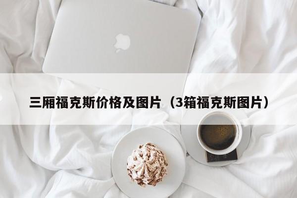 三厢福克斯价格及图片（3箱福克斯图片）
