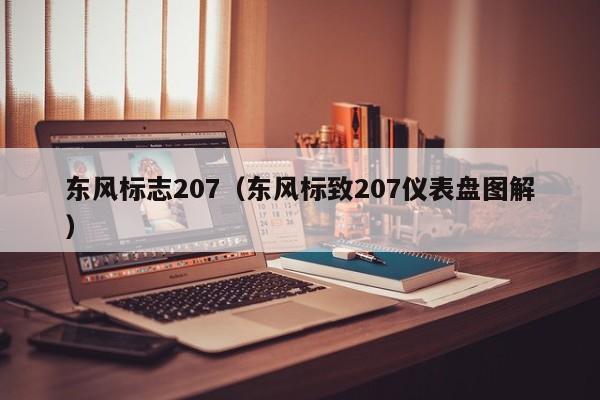 东风标志207（东风标致207仪表盘图解）