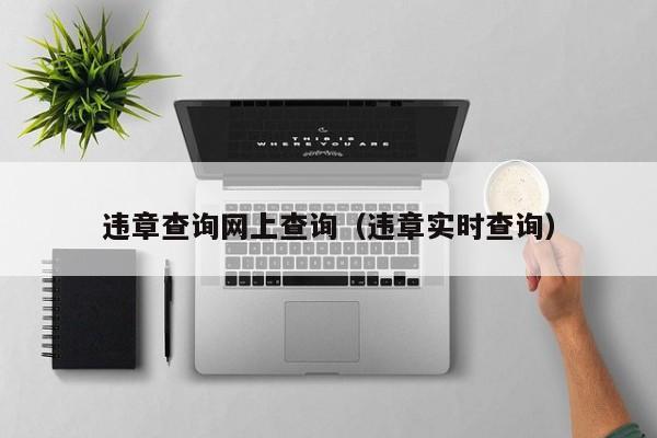 违章查询网上查询（违章实时查询）