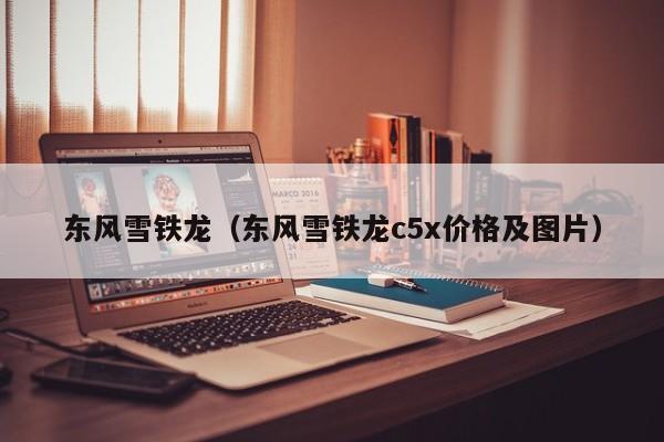 东风雪铁龙（东风雪铁龙c5x价格及图片）