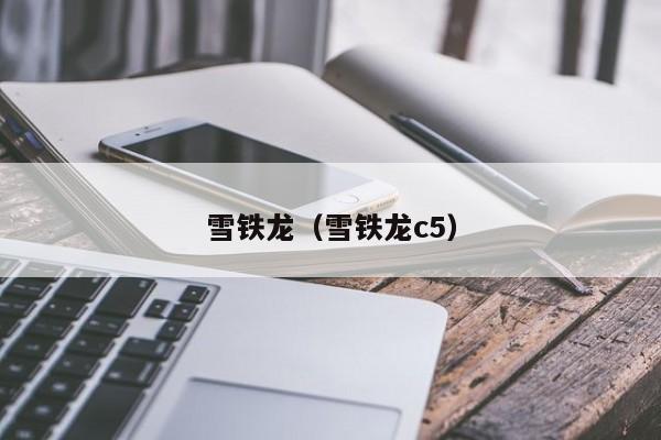 雪铁龙（雪铁龙c5）