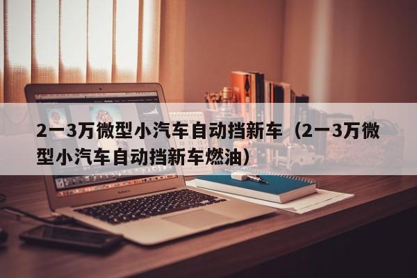 2一3万微型小汽车自动挡新车（2一3万微型小汽车自动挡新车燃油）