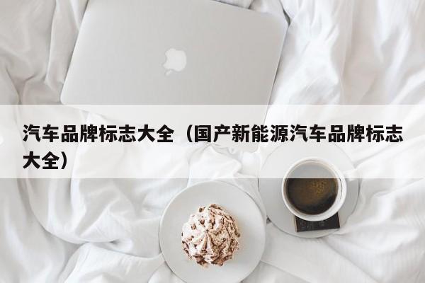 汽车品牌标志大全（国产新能源汽车品牌标志大全）
