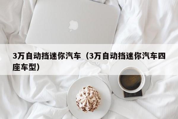 3万自动挡迷你汽车（3万自动挡迷你汽车四座车型）