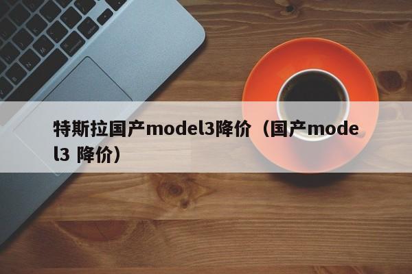 特斯拉国产model3降价（国产model3 降价）