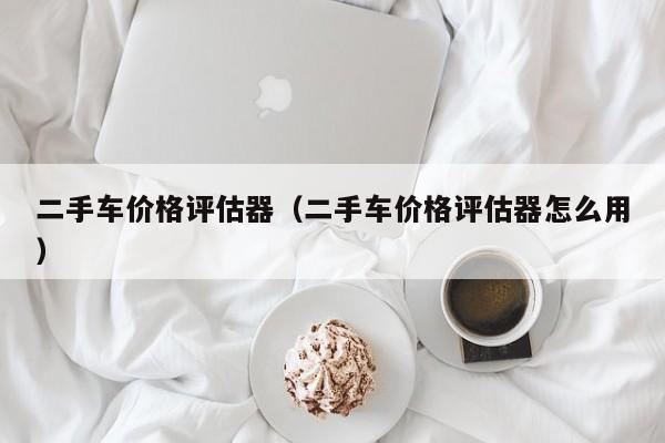 二手车价格评估器（二手车价格评估器怎么用）